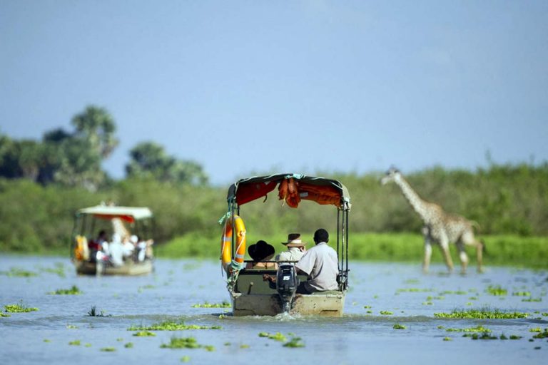 selous-game-reserve-7