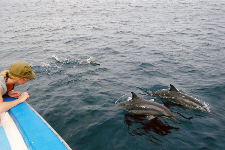 zanzibar-dolphine-adventure3